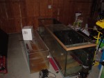 the main 240G tank to the right, the 100G sump to the left.