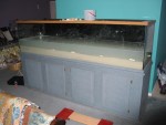 240G: 5" dsb, first ~50G of water in