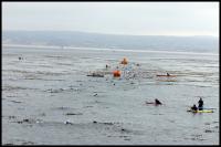 2007 Team in Training - Pacific Grove
