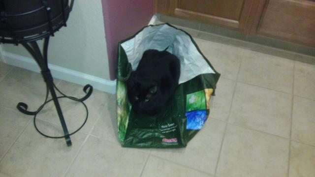 IMAG0086.jpg