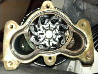 IMAG0788.jpg