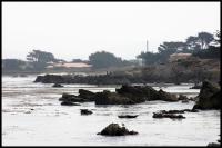 IMG_2411.jpg