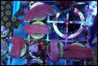 2015-07-30 20.53.59