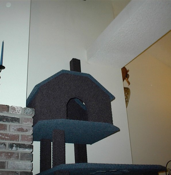 Cat house and ledge of house. That ledge goes across the entire livingroom. It's one of those "planter ledge" thingies... So he'll be able to jump up there and peer down on us peons when watching movies or are in the living room!: