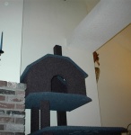 Cat house and ledge of house. That ledge goes across the entire livingroom. It's one of those "planter ledge" thingies... So he'll be able to jump up there and peer down on us peons when watching movies or are in the living room!: