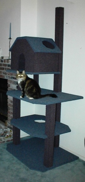 Big Kitty on 3rd ledge, side angle. Here you can see the hole in the cat house that he can jump out of to get to the top of the cat house too.: