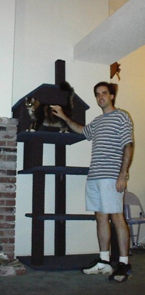 Jeremy (Who Dah?), Big Kitty, and overall picture. I'm 6 foot, the ledge he'll be able to get to is about 10 feet. I'm standing in front of the thing so the cat tree looks smaller.. See that folding chair in the background right past my leg? That is right next to it to give you perspective. Big Kitty doesn't look so bit in this shot either! Again you can see the ledge on the top where he'll be able to get to. Oh, and I'm not flipping you all off or anything.. I cut my finger doing something STUPID w/ the drill while mounting this thing.. So it has one of those plastic things on it w/ tape around it! I had to attach the cat house inside. The base of the tree BARELY fit in the door.. And I mean we pushed it through and there are blue/purple marks on my walls now.. heeh!: