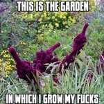 garden fucks