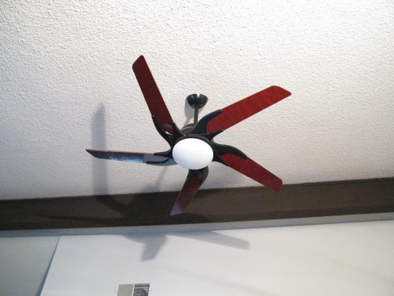 Ceiling Fan