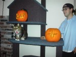 What Dah? & Big Kitty & Pumpkins