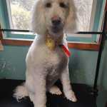 Frank 03-31-2025 2