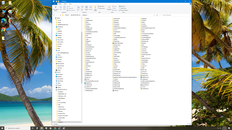 WD-SN770 Windows Folder