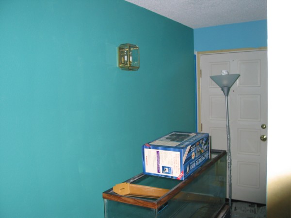 day 5: entryway, 1 coat, colorful!