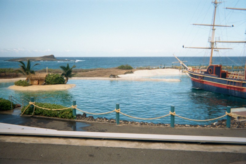 Here's the pool that the dolphins we swam with were in.