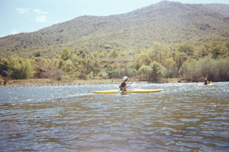 Priscilla out in open water.