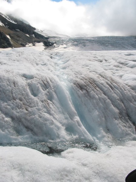 glacier water, as clean as it gets folks..