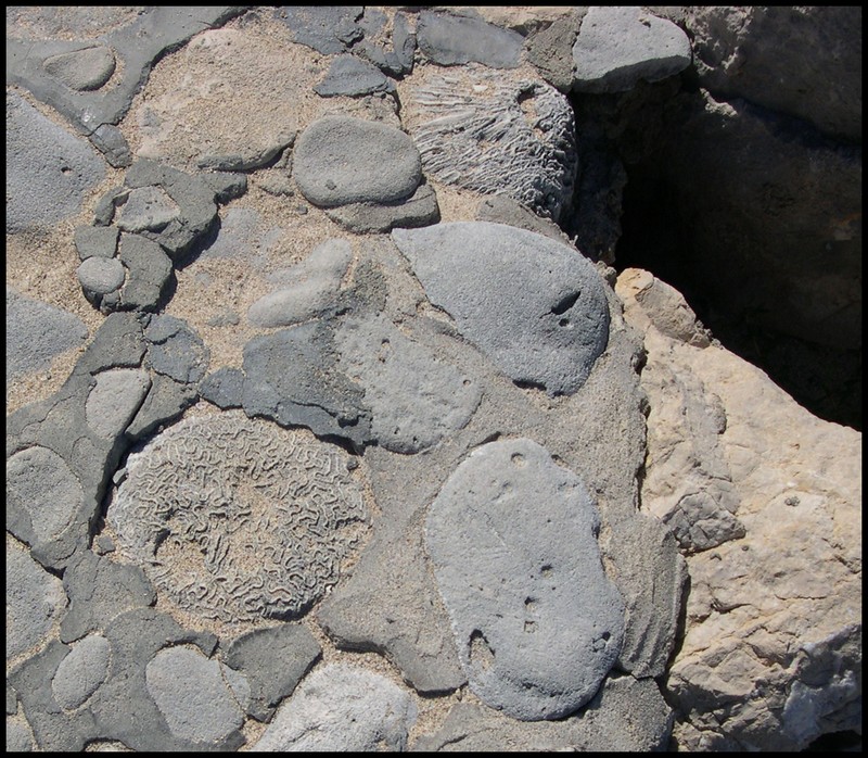 Interesting to see what 'rocks' they use for their cement/pavement...